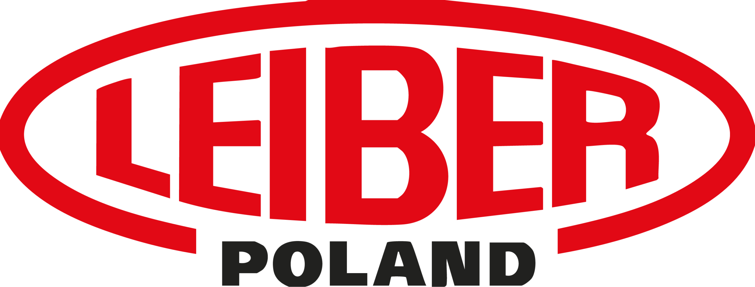 LEI_Logo_Polen